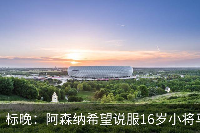 标晚：阿森纳希望说服16岁小将马丁留下
